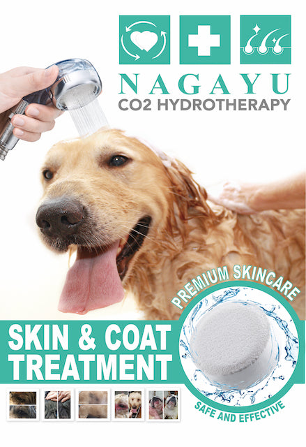 Nagayu Poster for Grooming