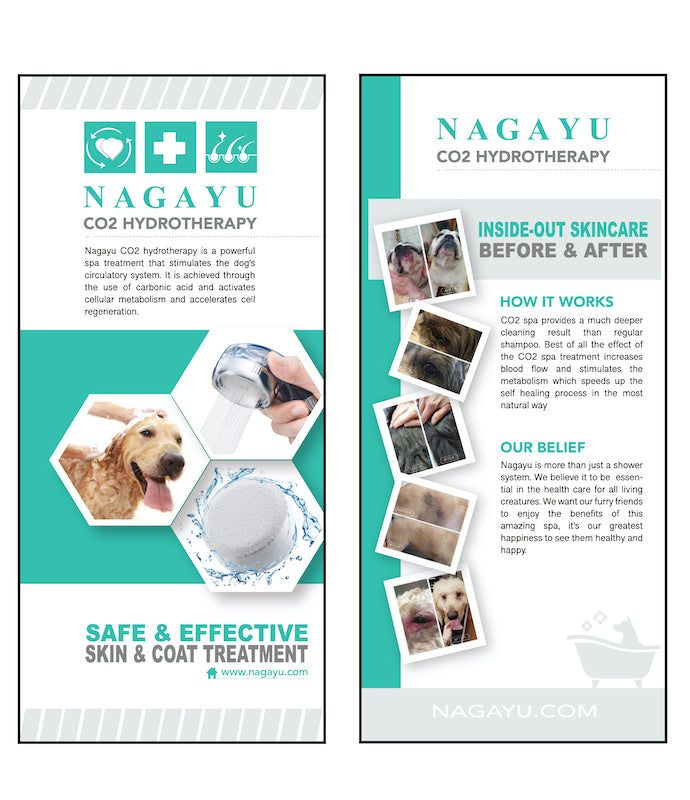Grooming Brochure | 20 Pcs