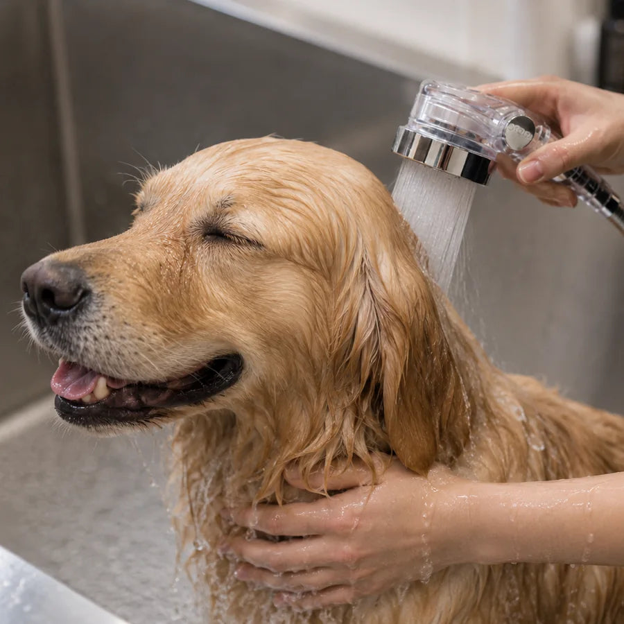 A golden retriever being gently rinsed during a grooming bath.